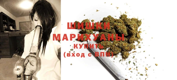 индика Бородино