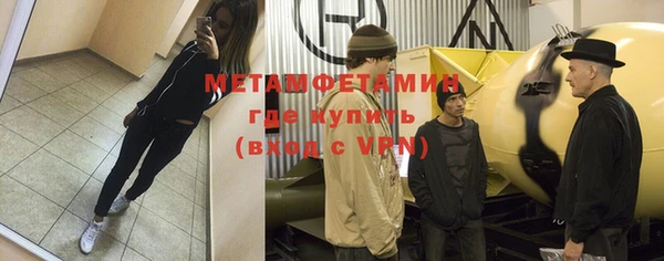индика Бородино
