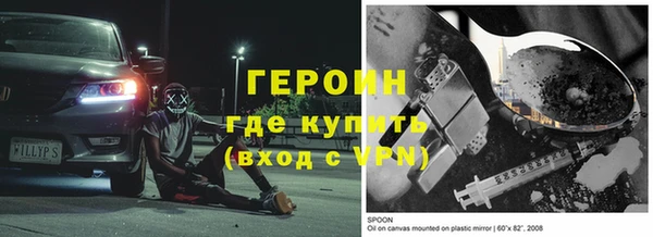 индика Бородино