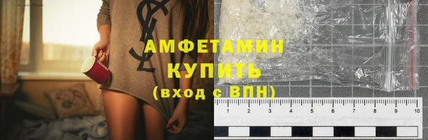 индика Бородино