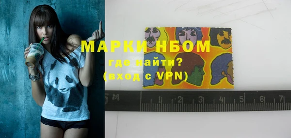 индика Бородино