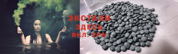 индика Бородино