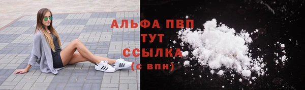 индика Бородино