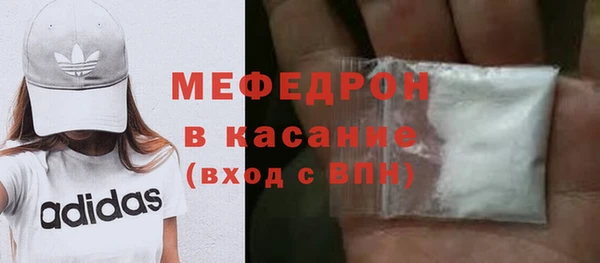 индика Бородино