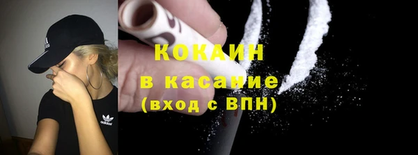 индика Бородино
