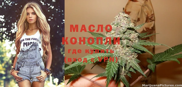 индика Бородино