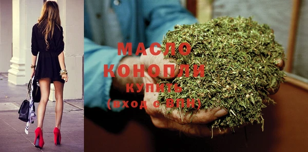 индика Бородино
