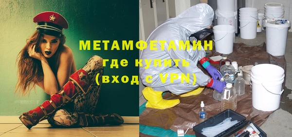 индика Бородино