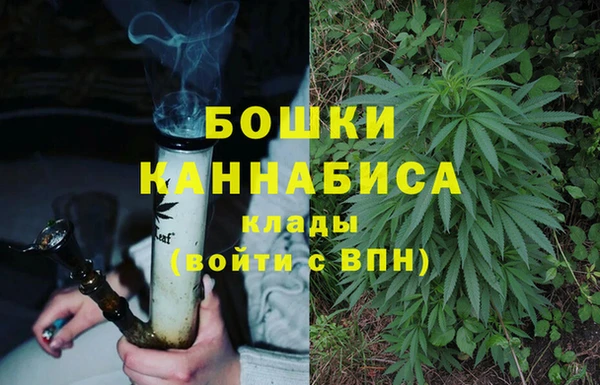 индика Бородино