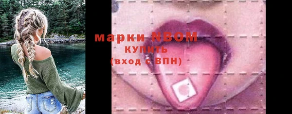 индика Бородино